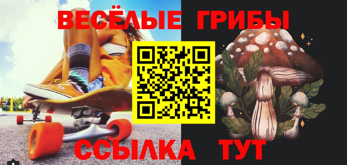 наркошоп  Галлюциногенные грибы Psilocybine cubensis  Вход с VPN  Городец 